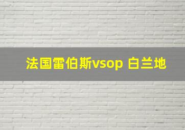 法国雷伯斯vsop 白兰地